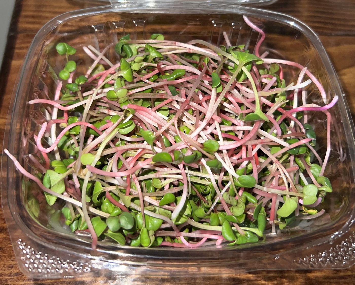 Red stem radish microgreens in a container